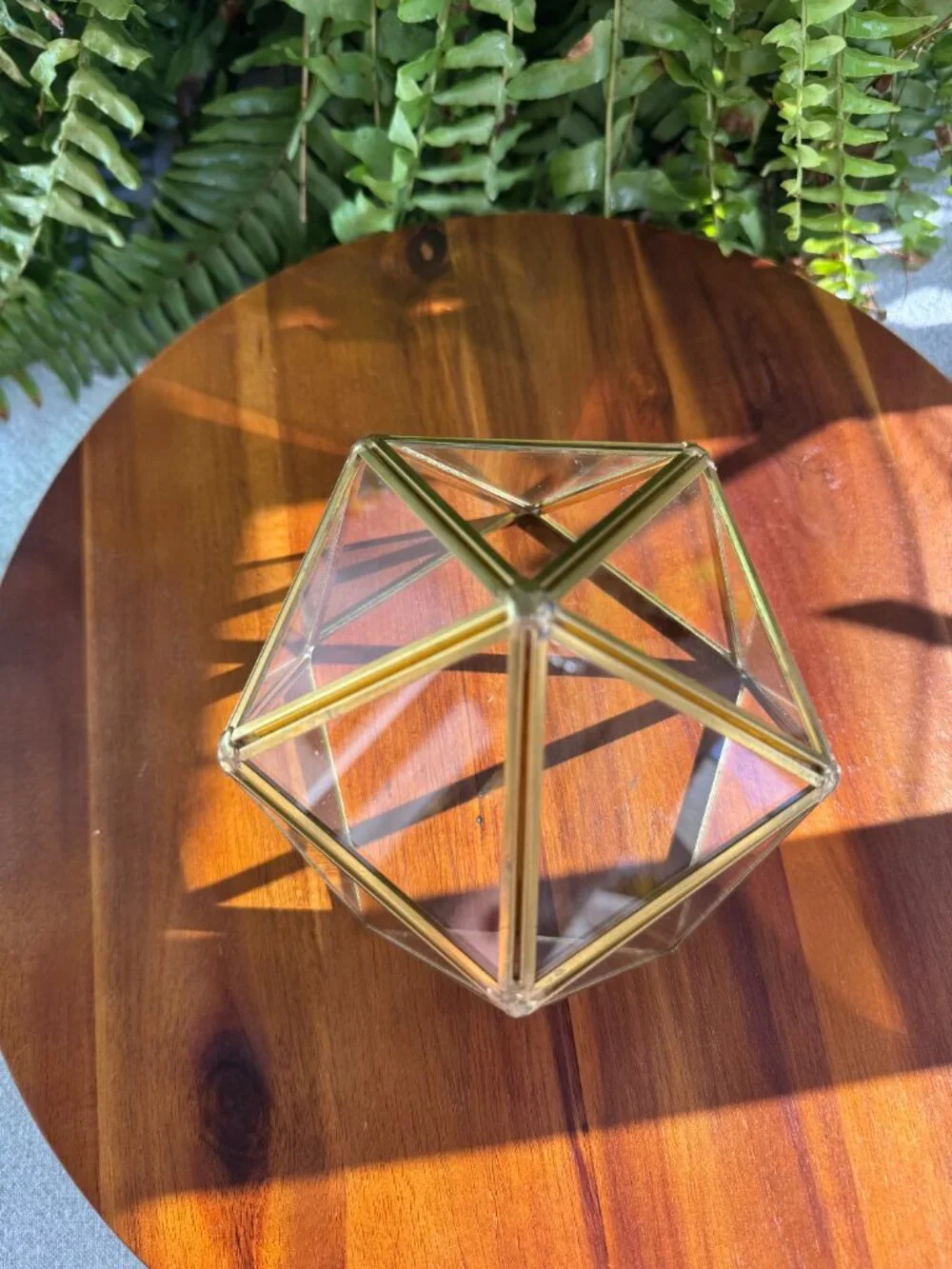 Geometric glass terrarium glass and brass sits on a tip